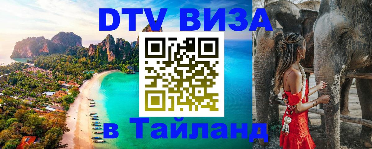 Оформление DTV визы под ключ: стоимость и тарифы, только загранпаспорт - 18.11.2025 